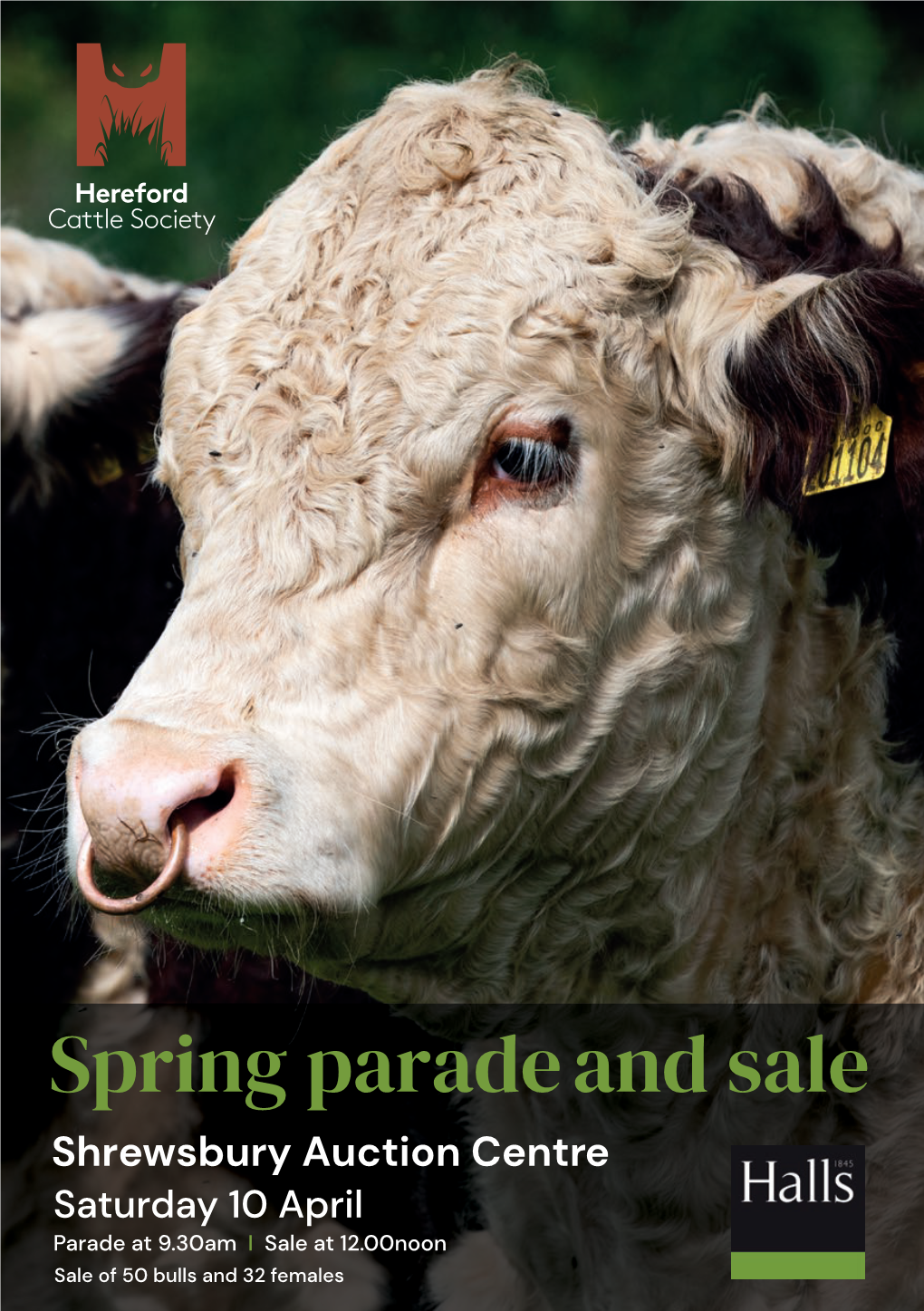 Spring Parade and Sale