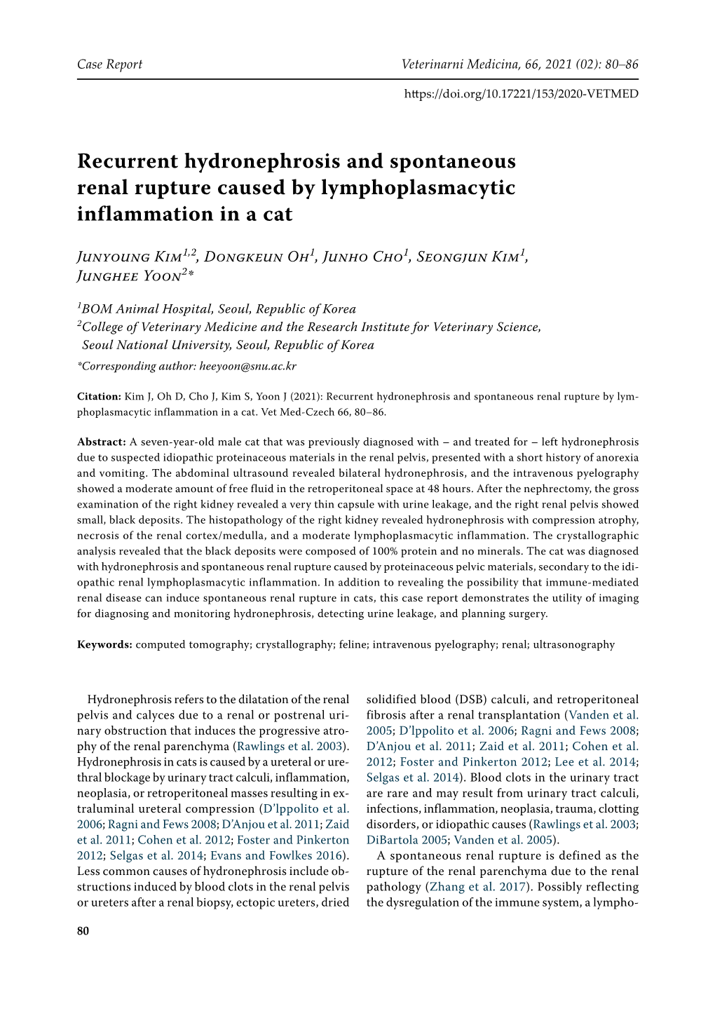 Recurrent Hydronephrosis and Spontaneous Renal Rupture Caused by Lymphoplasmacytic Inflammation in a Cat