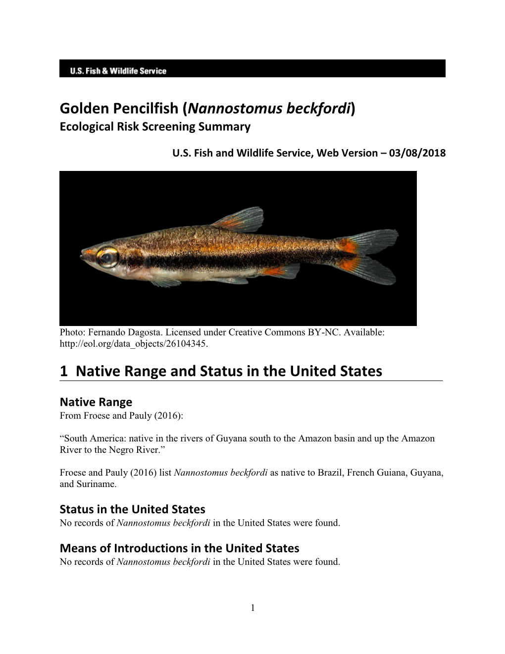 Nannostomus Beckfordi) Ecological Risk Screening Summary