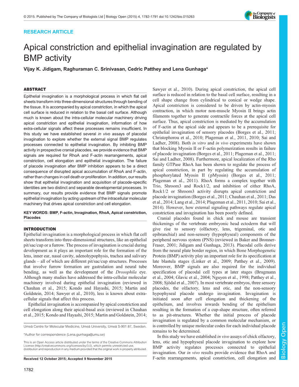 Apical Constriction and Epithelial Invagination Are Regulated by BMP Activity Vijay K