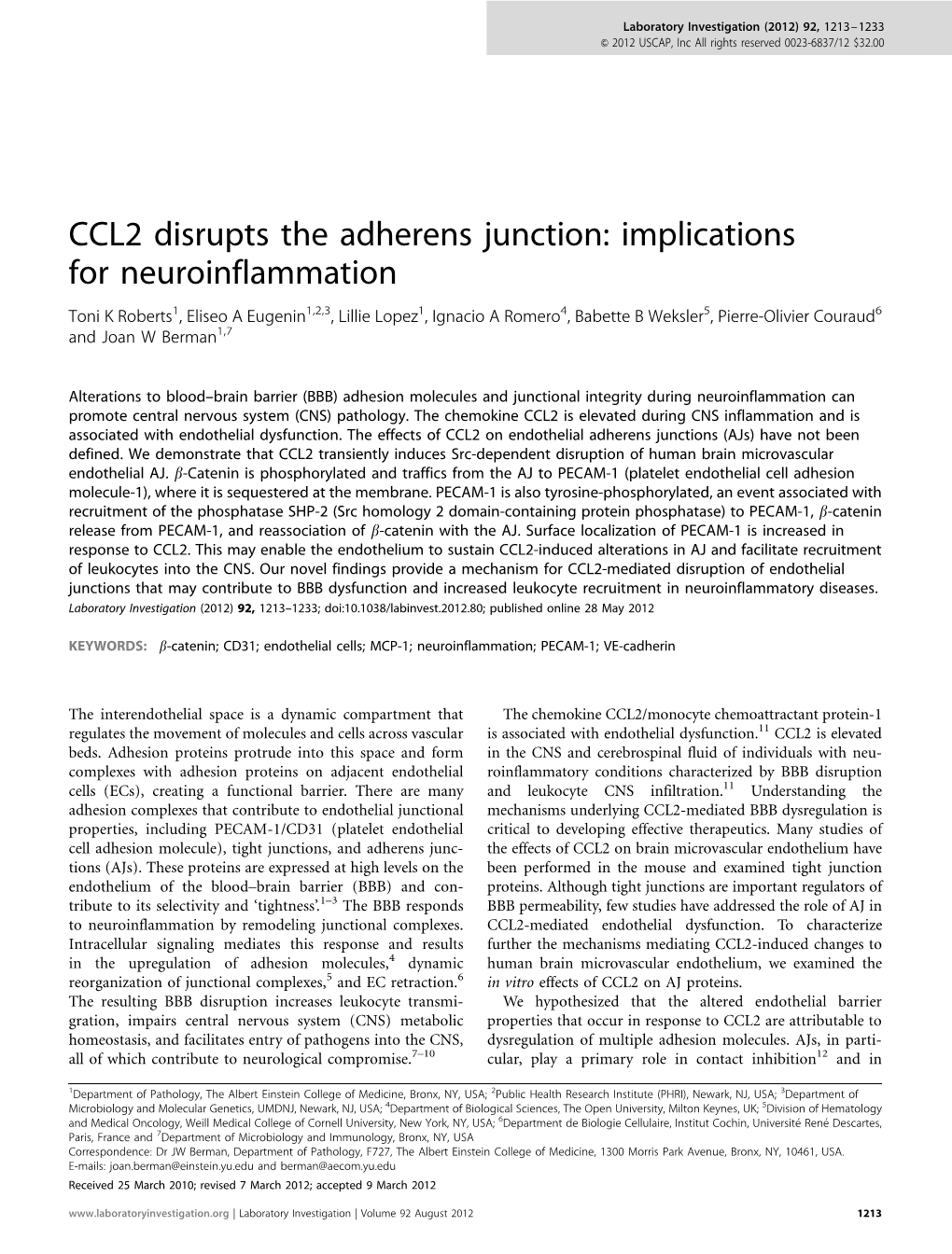 CCL2 Disrupts the Adherens Junction