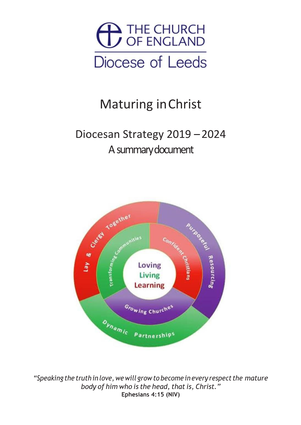 Summary Strategy Booklet