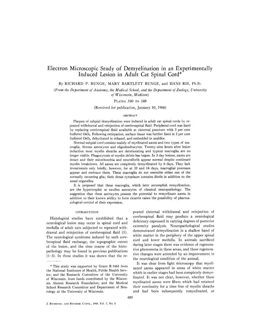 Electron Microscopic Study of Demyelination in an Experimentally Induced Lesion in Adult Cat Spinal Cord*