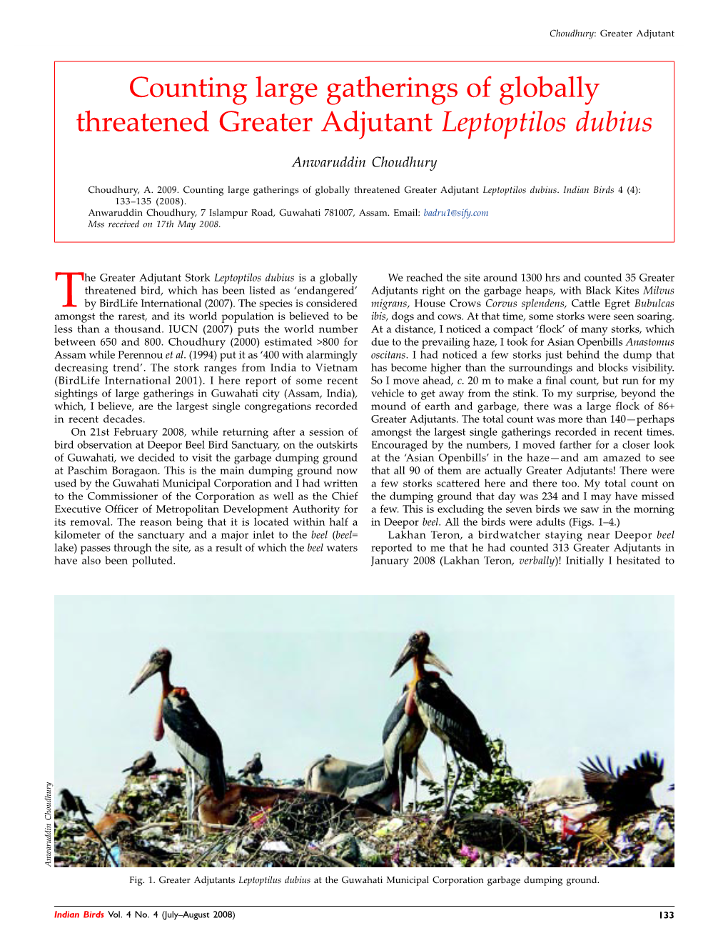 Counting Large Gatherings of Globally Threatened Greater Adjutant Leptoptilos Dubius