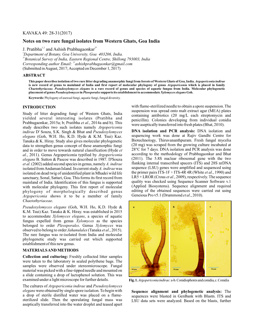 Notes on Two Rare Fungal Isolates from Western Ghats, Goa India J