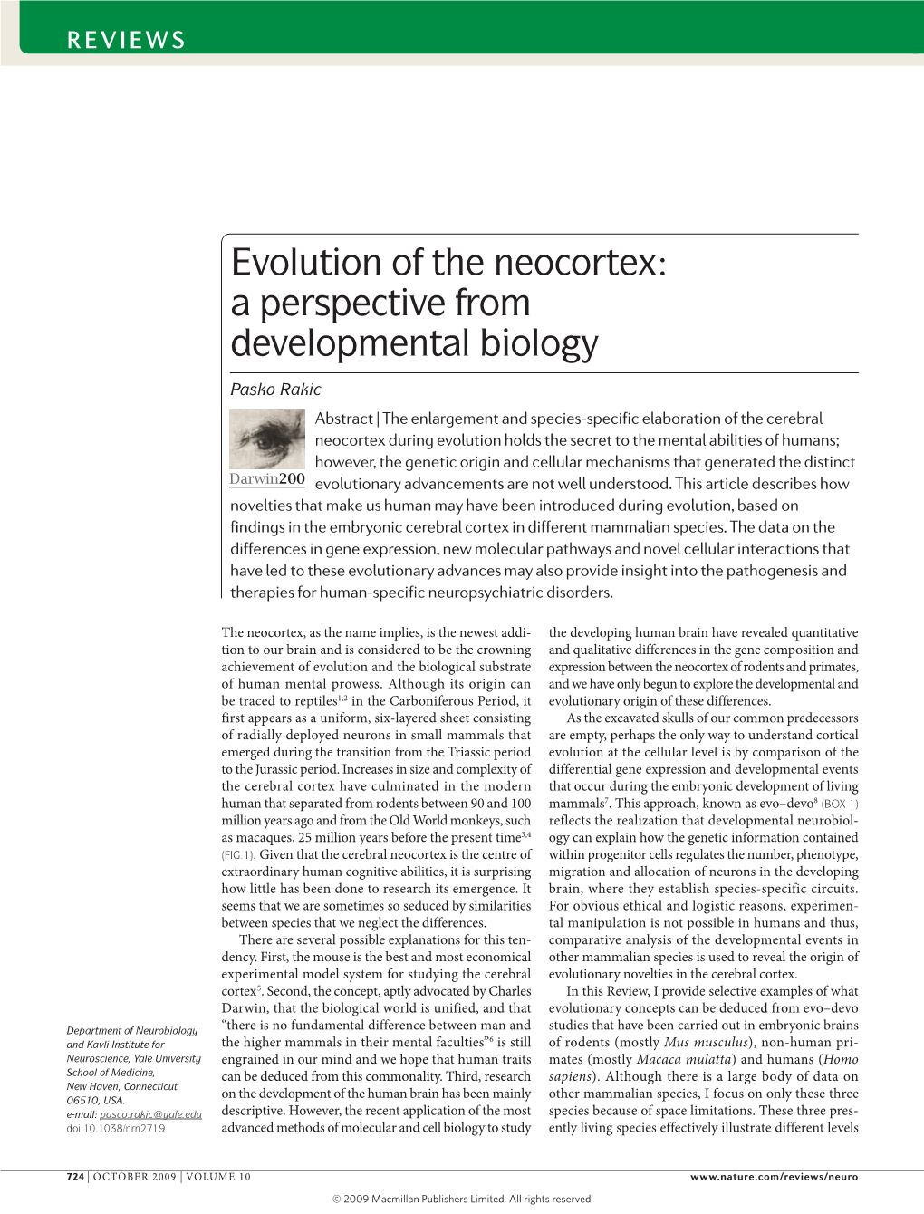 Evolution of the Neocortex: a Perspective from Developmental Biology