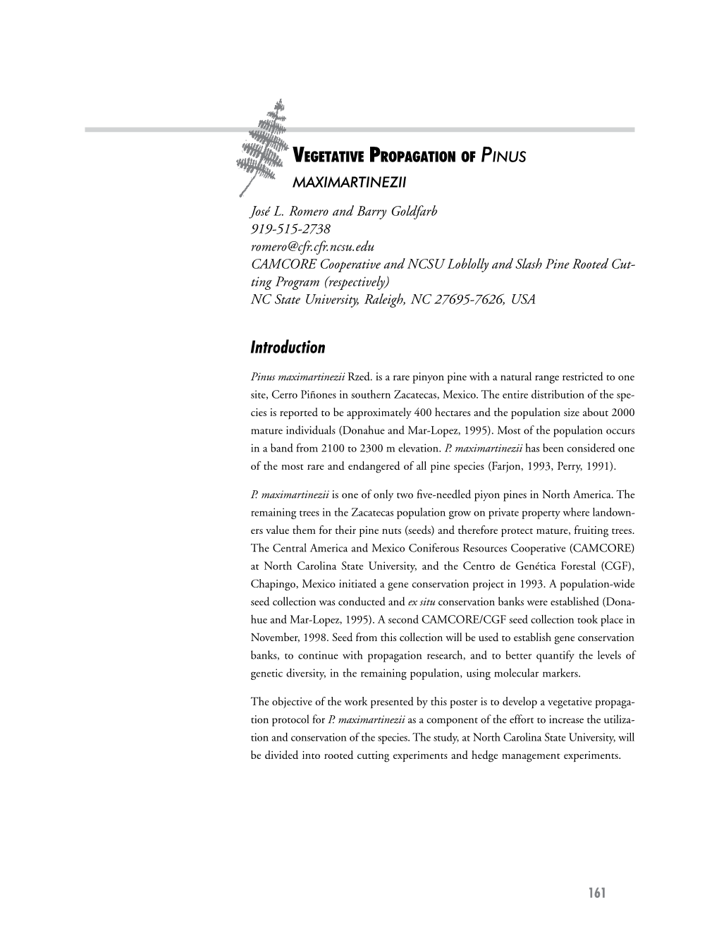 Vegetative Propagation of Pinus Maximartinezii