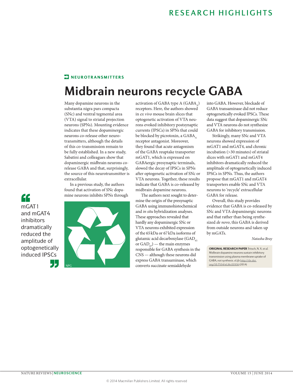 Neurotransmitters: Midbrain Neurons Recycle GABA