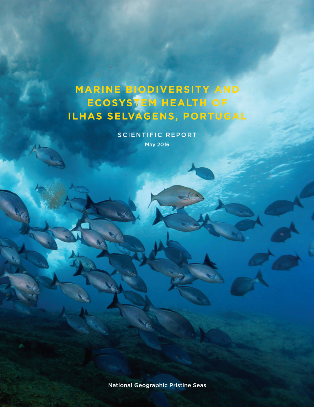 Marine Biodiversity and Ecosystem Health of Ilhas Selvagens, Portugal