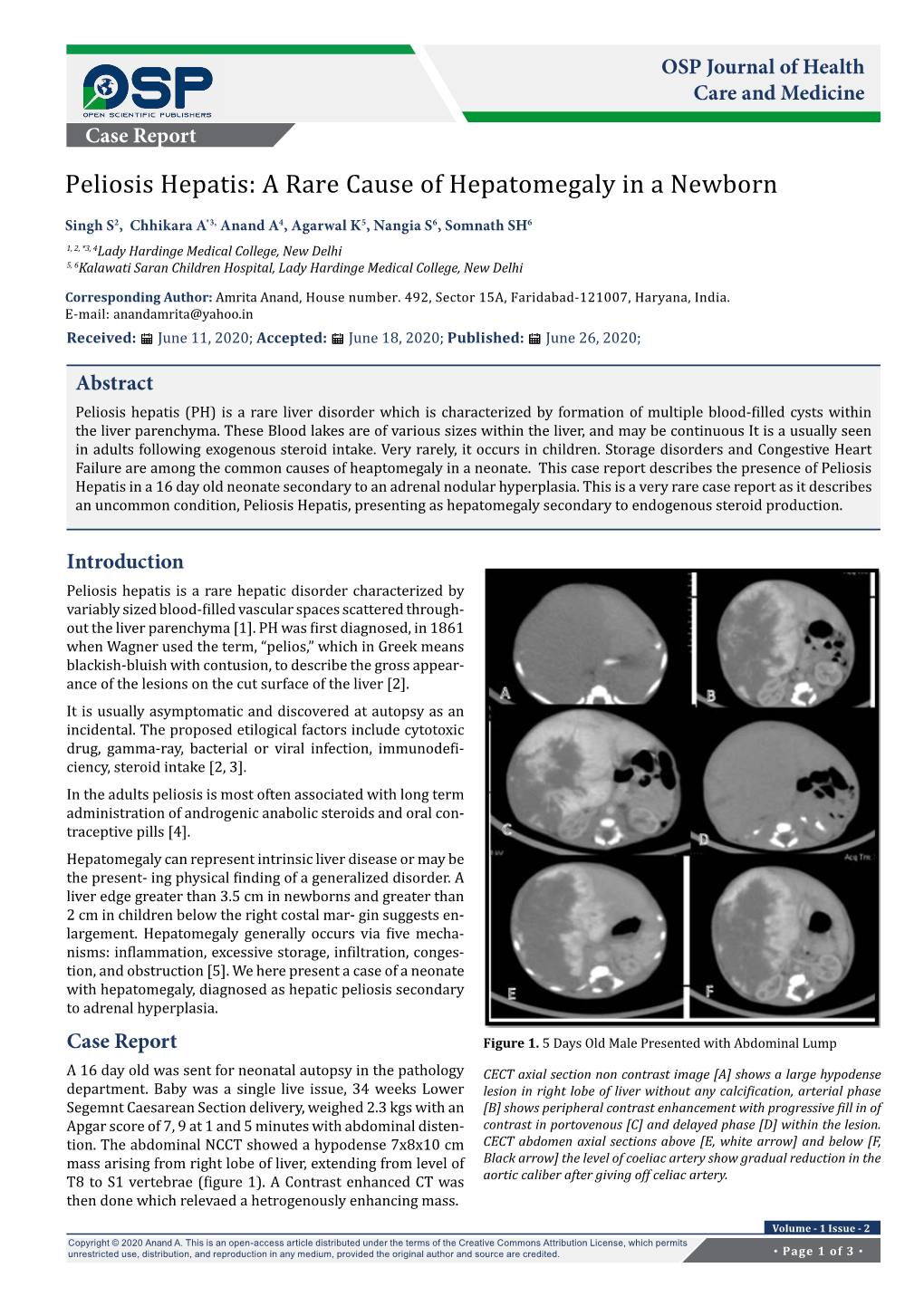 Peliosis Hepatis (PH) Is a Rare Liver Disorder Which Is Characterized by Formation of Multiple Blood-Filled Cysts Within the Liver Parenchyma