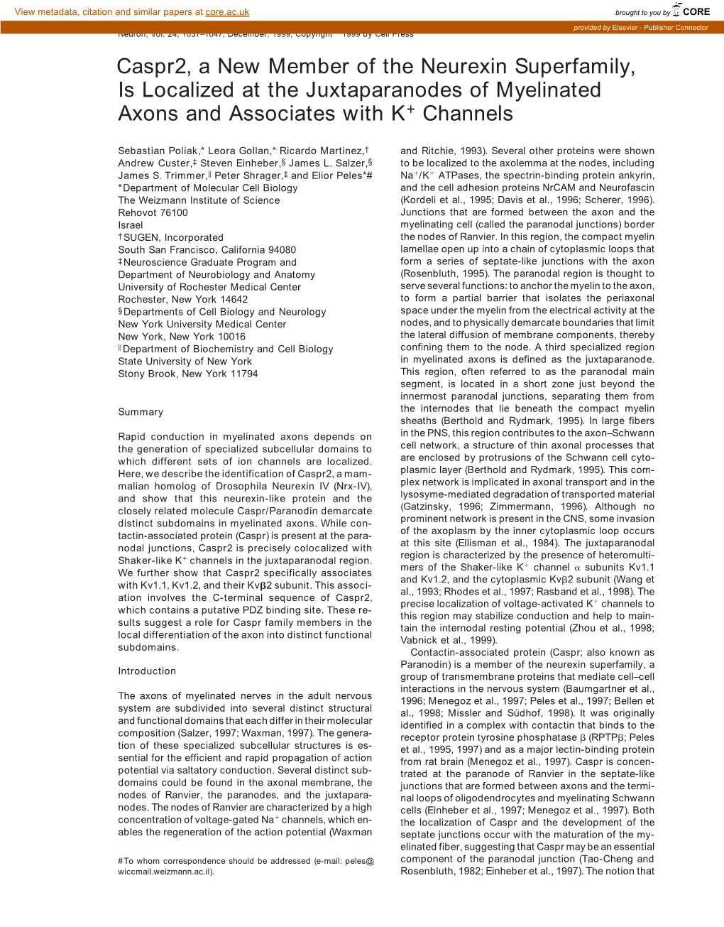 Caspr2, a New Member of the Neurexin Superfamily, Is Localized at the Juxtaparanodes of Myelinated Axons and Associates with K؉ Channels