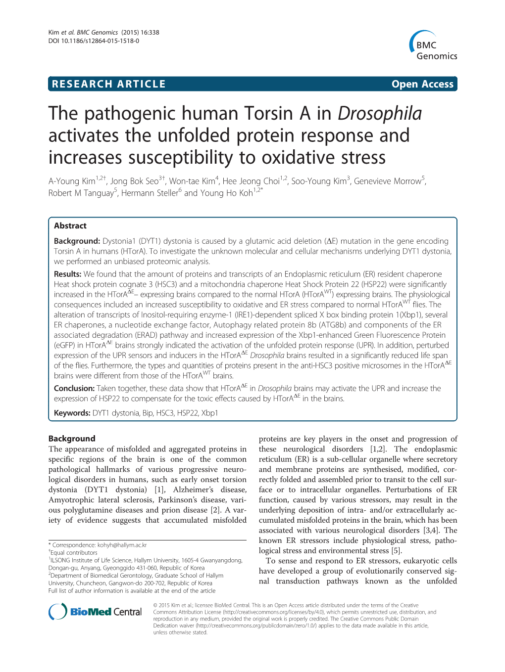 The Pathogenic Human Torsin a in Drosophila Activates the Unfolded
