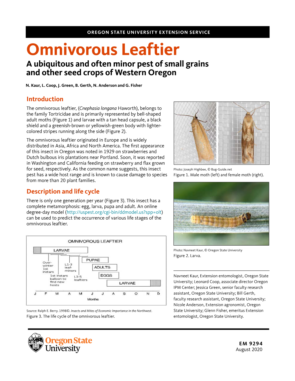 Omnivorous Leaftier a Ubiquitous and Often Minor Pest of Small Grains and Other Seed Crops of Western Oregon