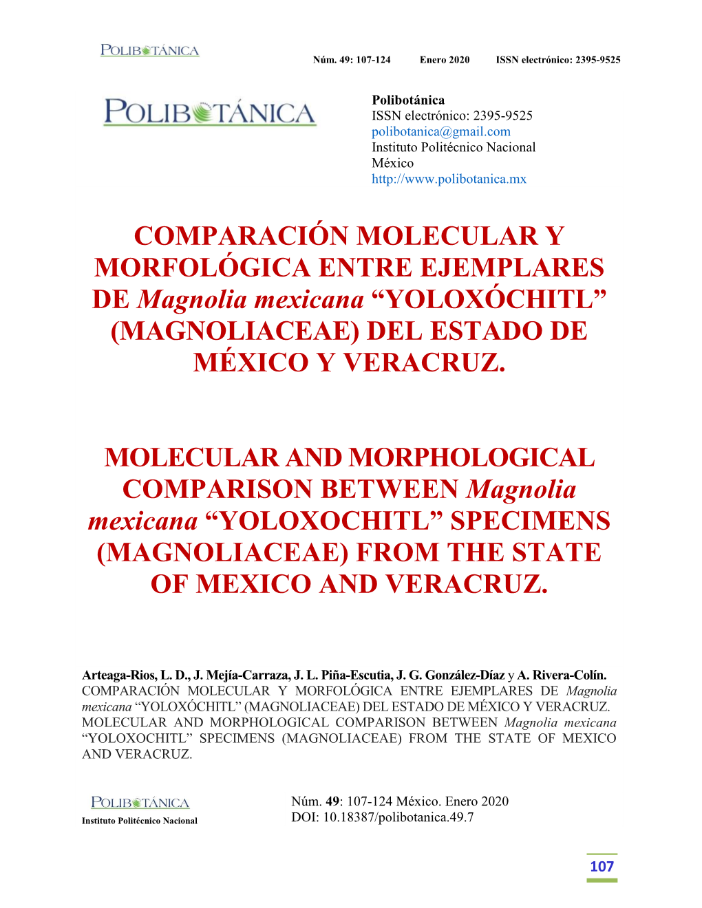 COMPARACIÓN MOLECULAR Y MORFOLÓGICA ENTRE EJEMPLARES DE Magnolia Mexicana “YOLOXÓCHITL” (MAGNOLIACEAE) DEL ESTADO DE MÉXICO Y VERACRUZ