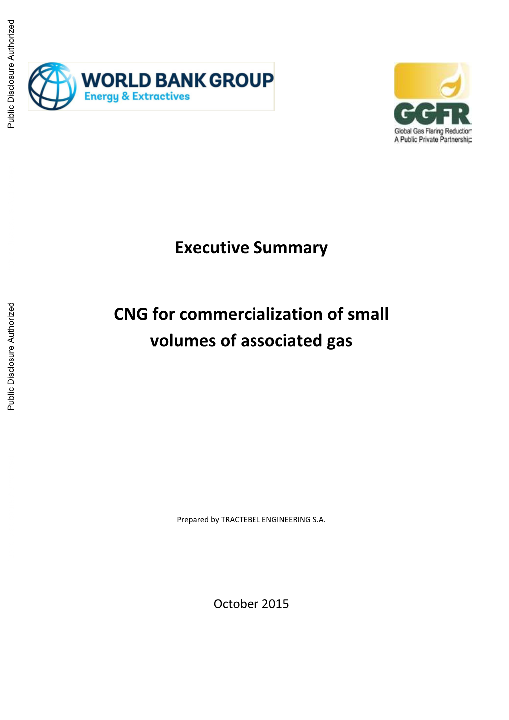 Executive Summary CNG for Commercialization of Small Volumes