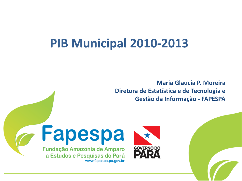 PIB Municipal 2010-2013