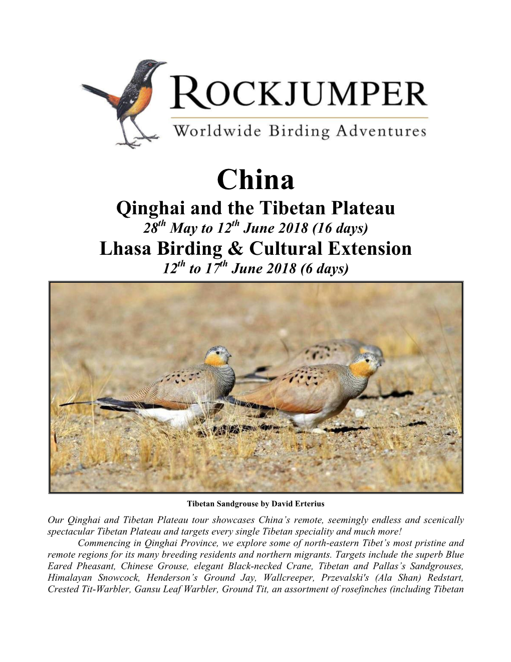 Qinghai and the Tibetan Plateau Lhasa Birding & Cultural Extension