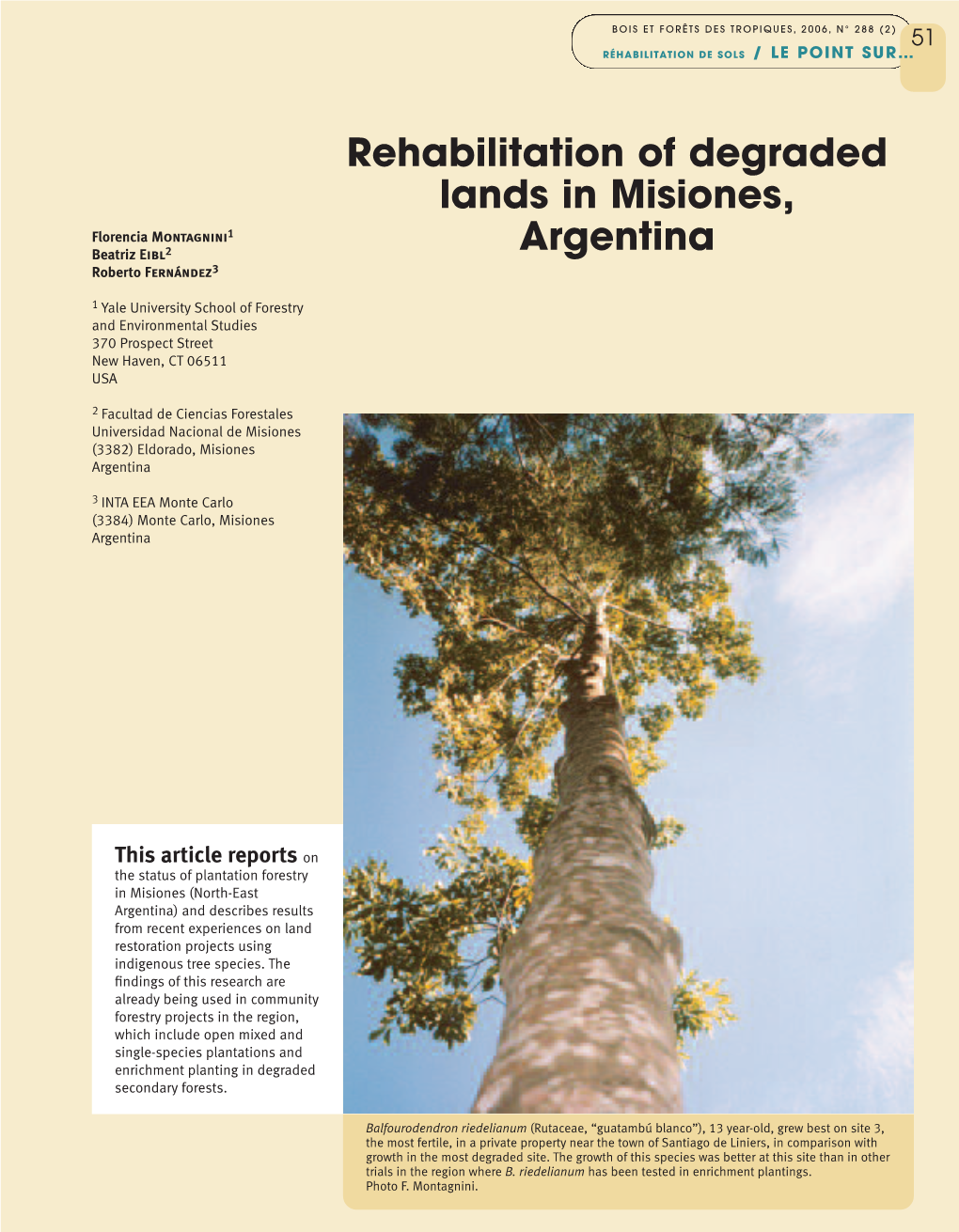 Rehabilitation of Degraded Lands in Misiones, Argentina