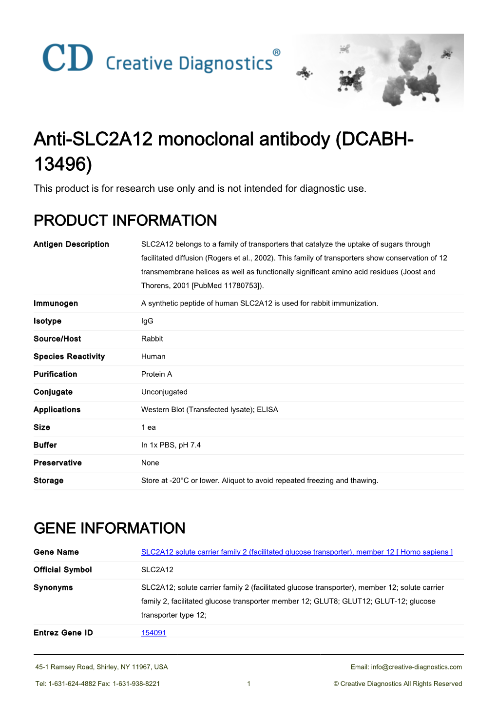 Anti-SLC2A12 Monoclonal Antibody (DCABH- 13496) This Product Is for Research Use Only and Is Not Intended for Diagnostic Use