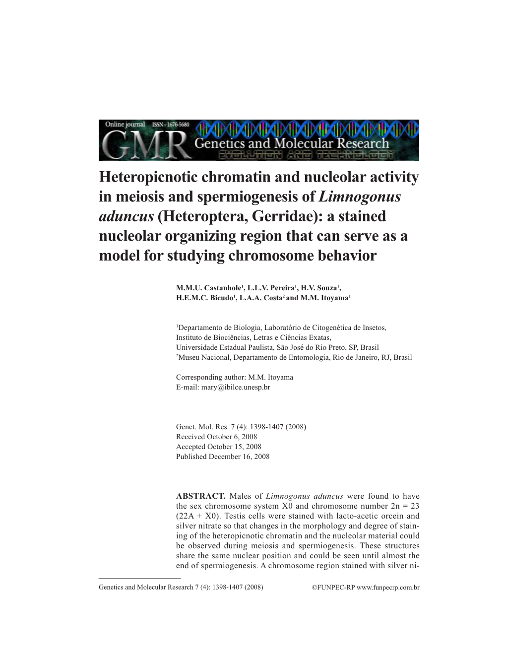 Heteropicnotic Chromatin and Nucleolar Activity in Meiosis and Spermiogenesis of Limnogonus Aduncus