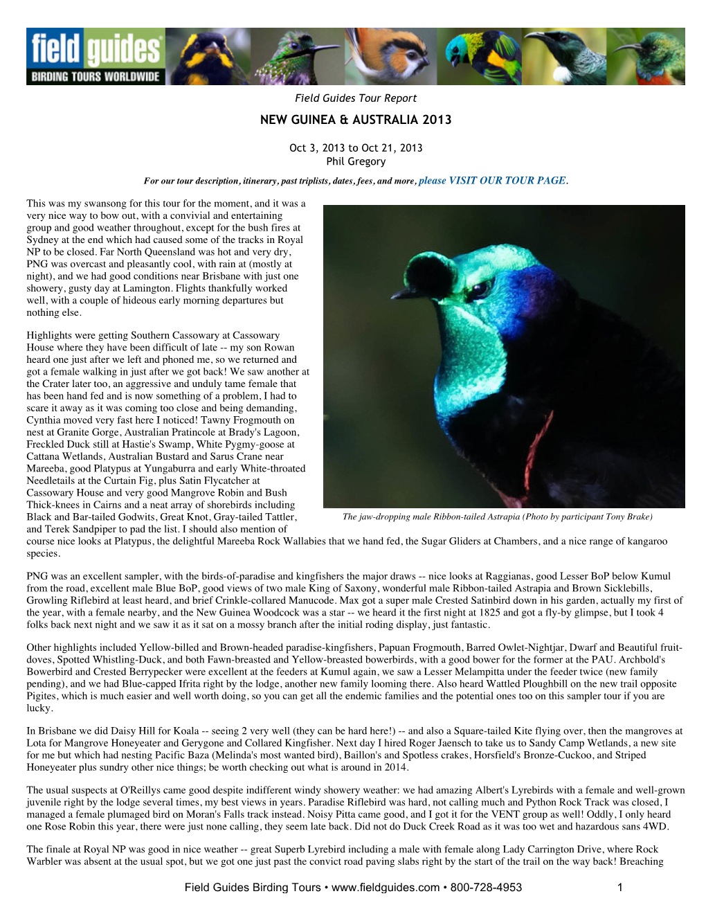 Field Guides Birding Tours: New Guinea & Australia 2013