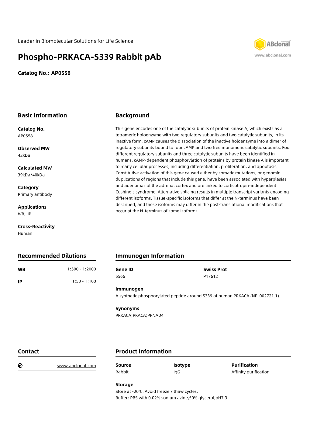 Phospho-PRKACA-S339 Rabbit Pab