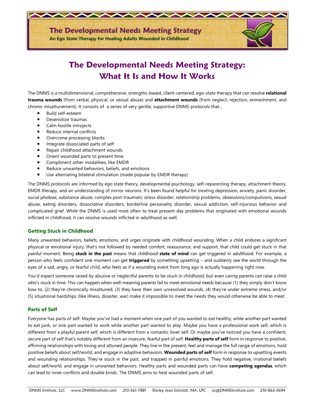 The Developmental Needs Meeting Strategy: What It Is and How It Works