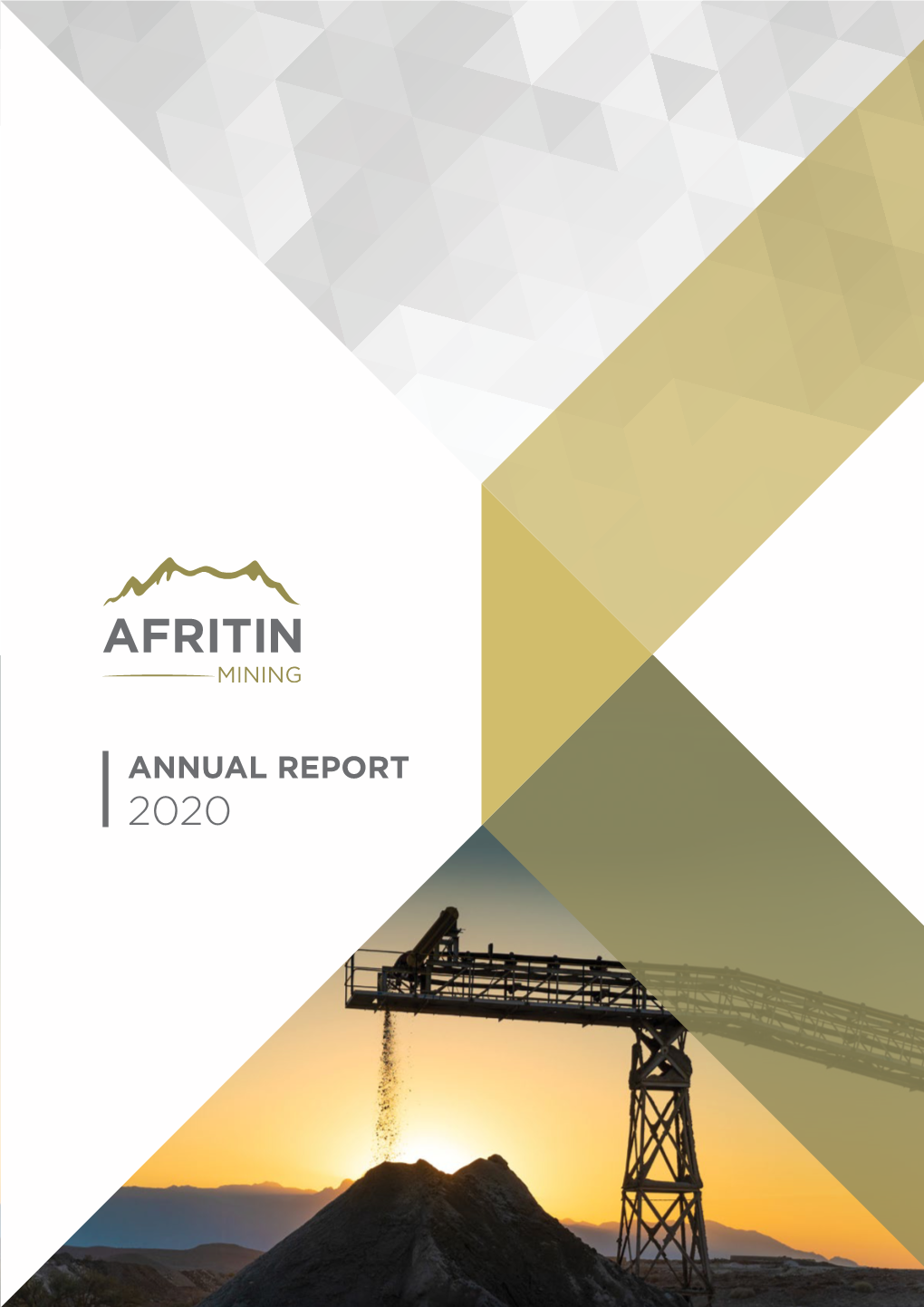 Annual Report 2020 Chairman’S Statement