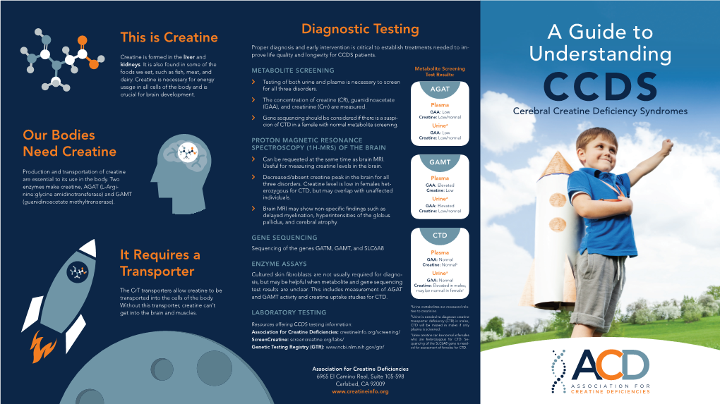 Guide to Understanding CCDS Brochure