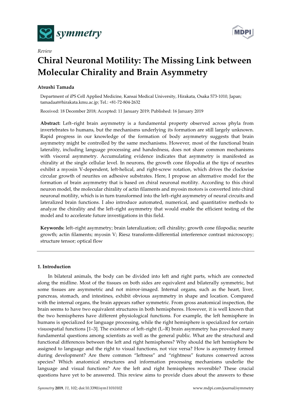 The Missing Link Between Molecular Chirality and Brain Asymmetry