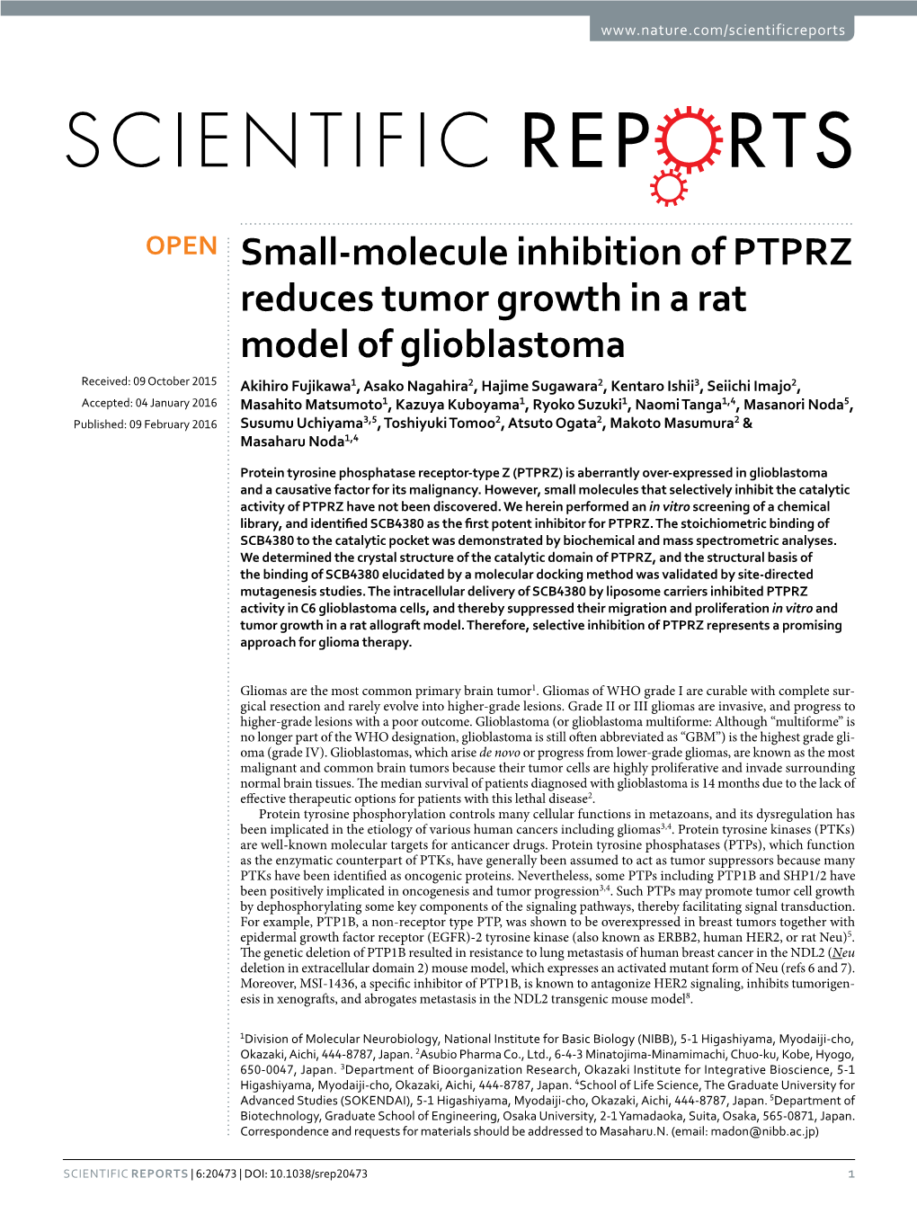 Small-Molecule Inhibition of PTPRZ Reduces Tumor Growth in a Rat Model