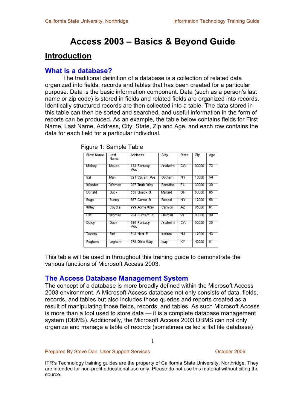 Access 2003 – Basics & Beyond Guide