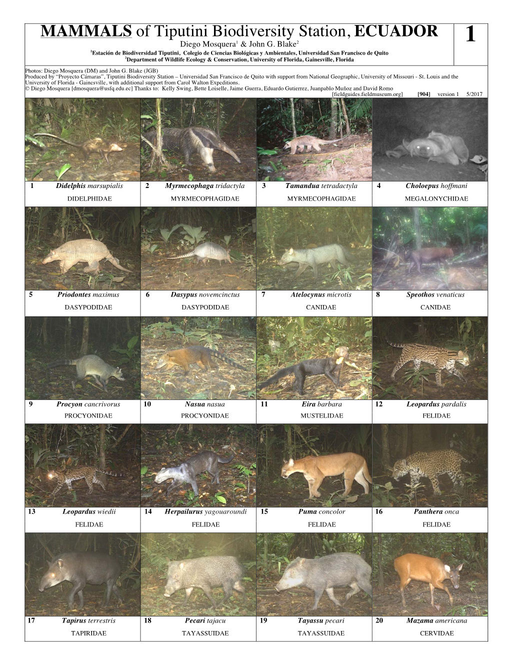 MAMMALS of Tiputini Biodiversity Station, ECUADOR Diego Mosquera1 & John G