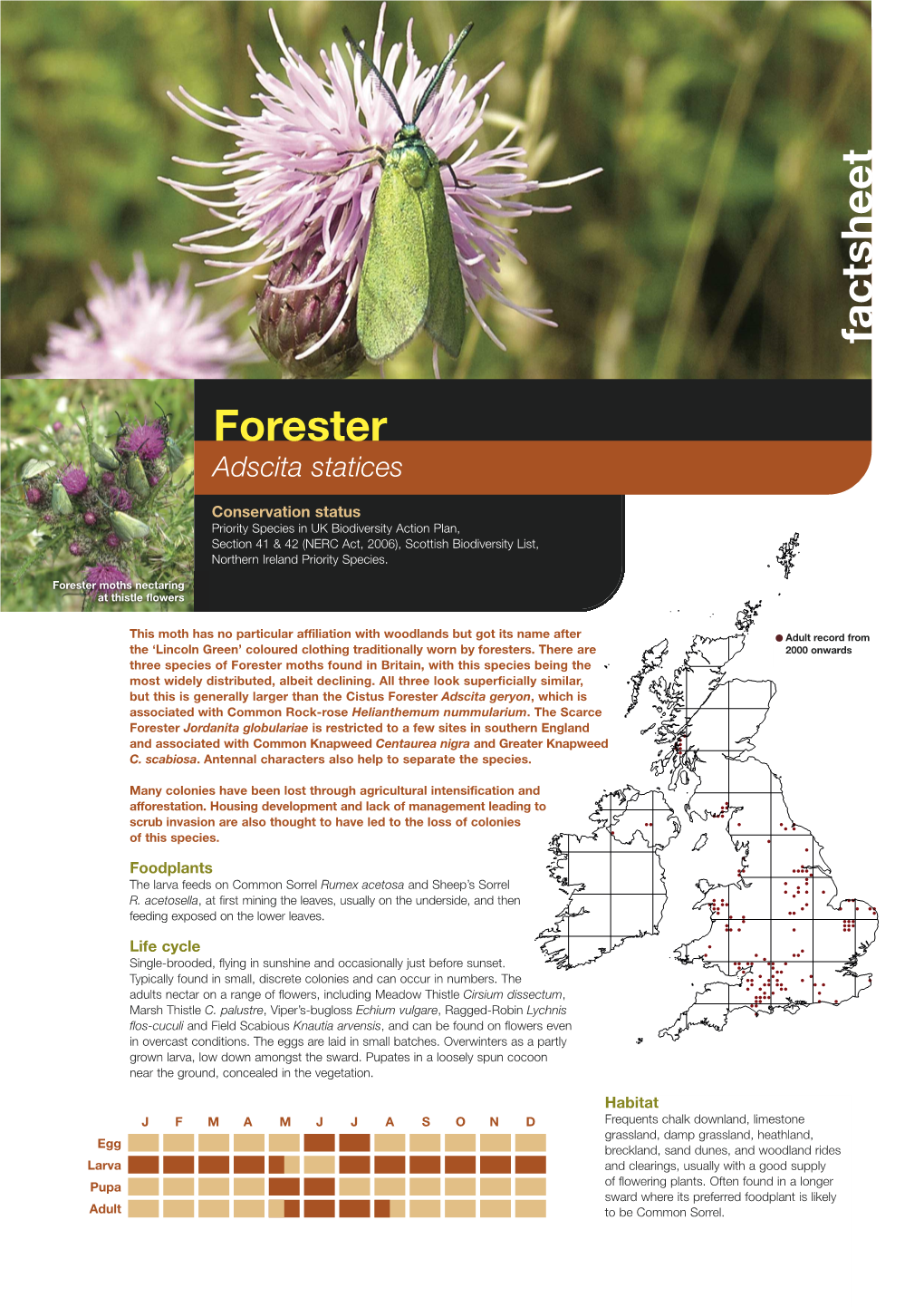 Forester Priority Species Factsheet