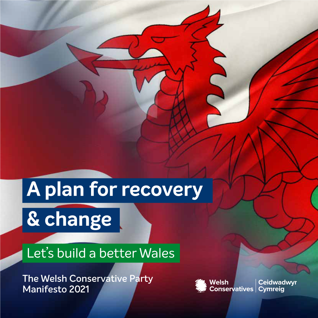 A Plan for Recovery & Change