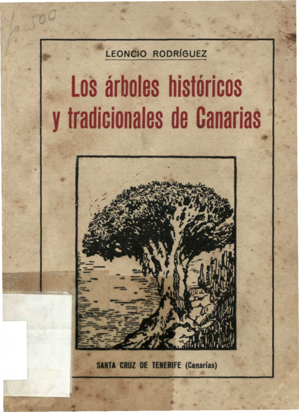 Los Árboles Históricos Y Tradicionales De Canarias