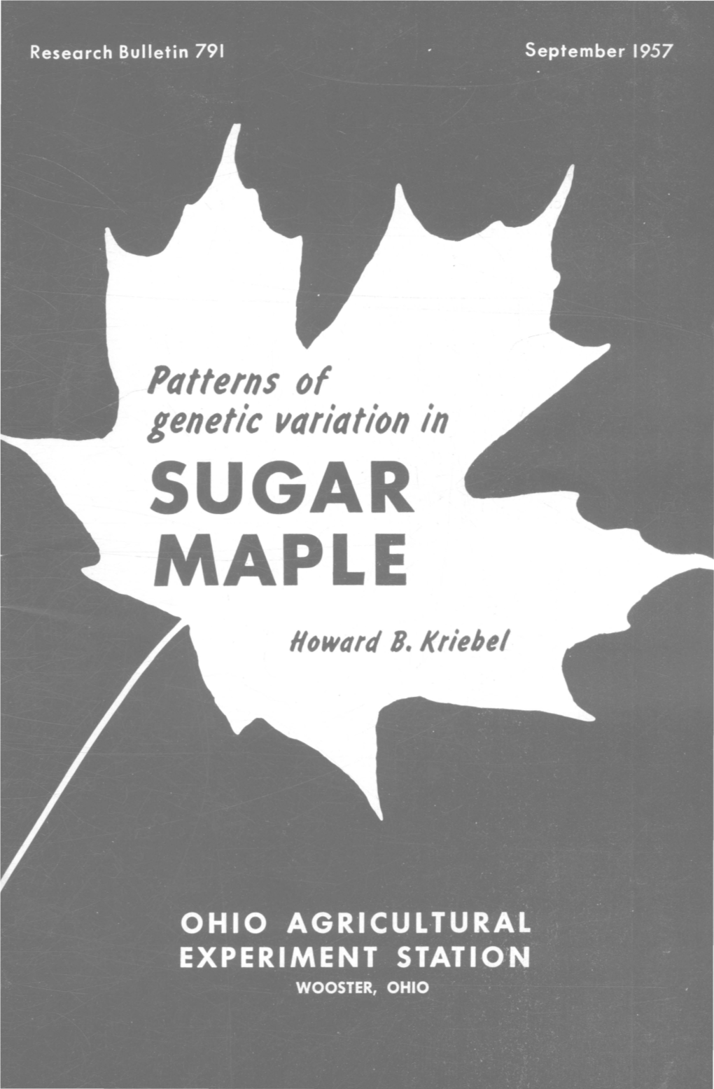 Patterns of Genetic Variation in SUGAR MAPLE