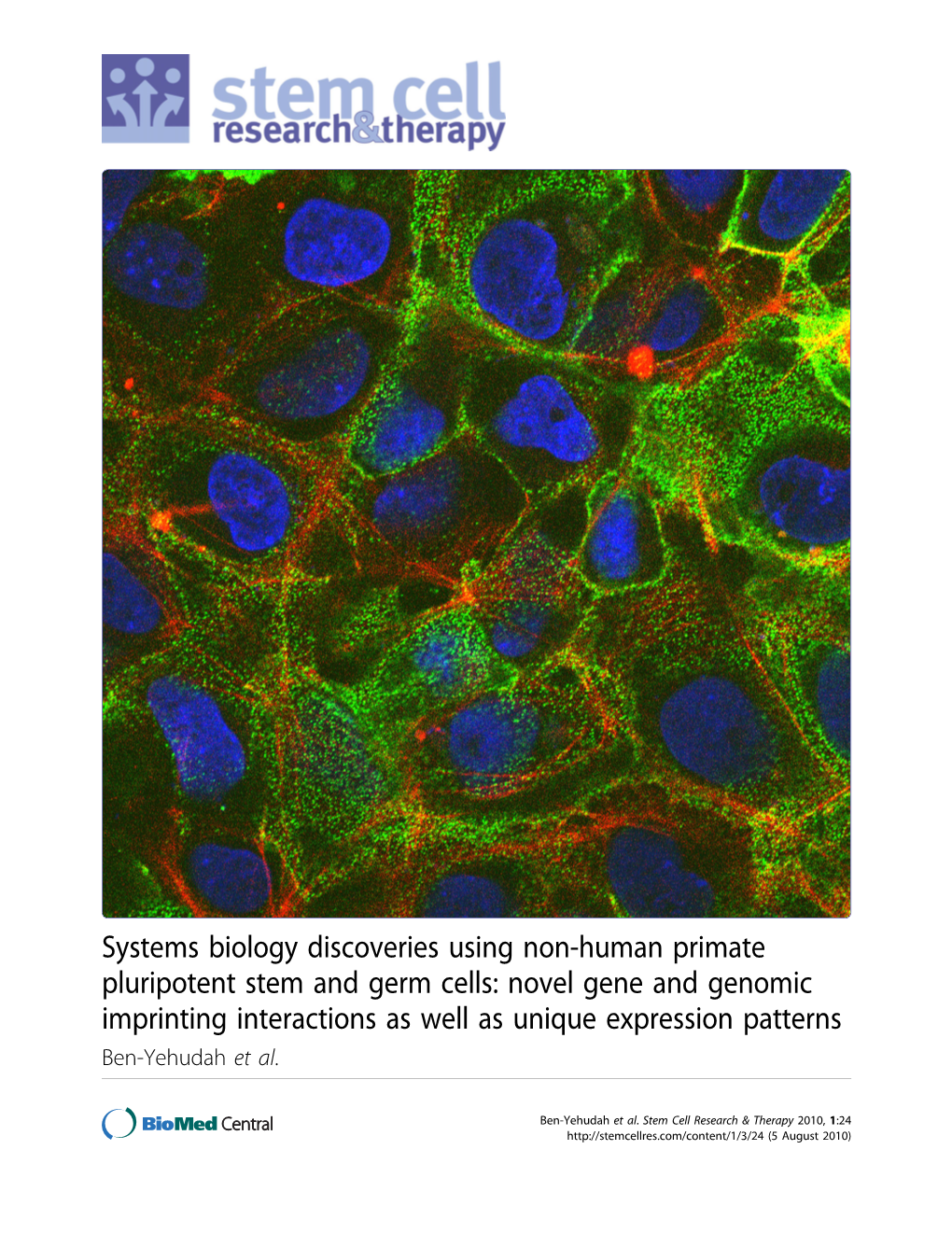 Systems Biology Discoveries Using Non-Human Primate Pluripotent Stem and Germ Cells: Novel Gene and Genomic Imprinting Interacti