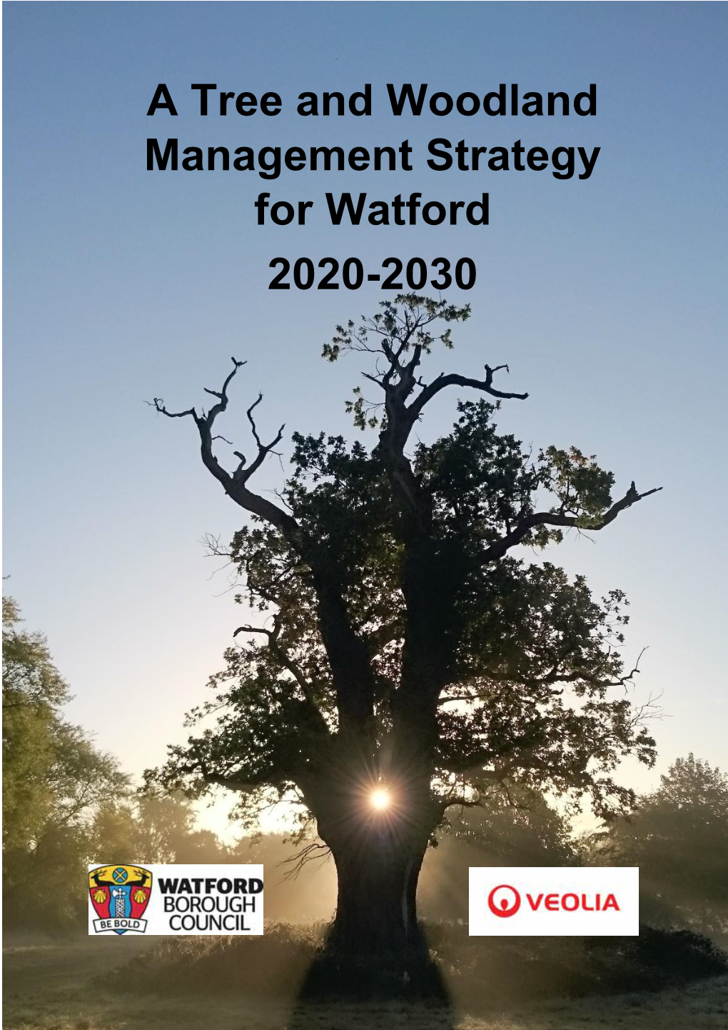 A Tree and Woodland Management Strategy for Watford 2020-2030