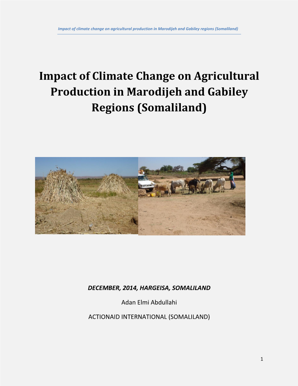 Impact of Imported Food/Food Aid on Local Markets in Gabiley Region