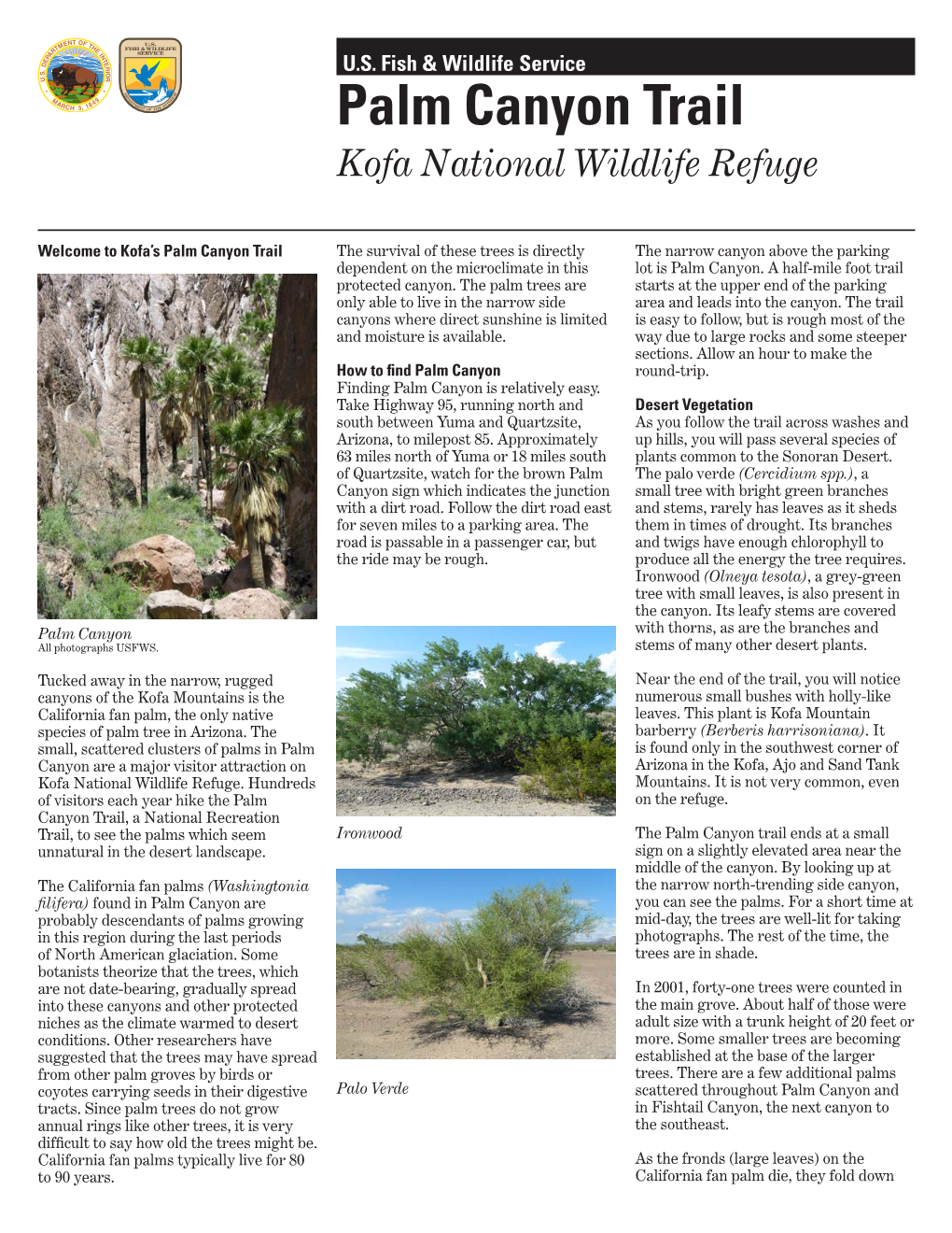 Palm Canyon Trail Kofa National Wildlife Refuge