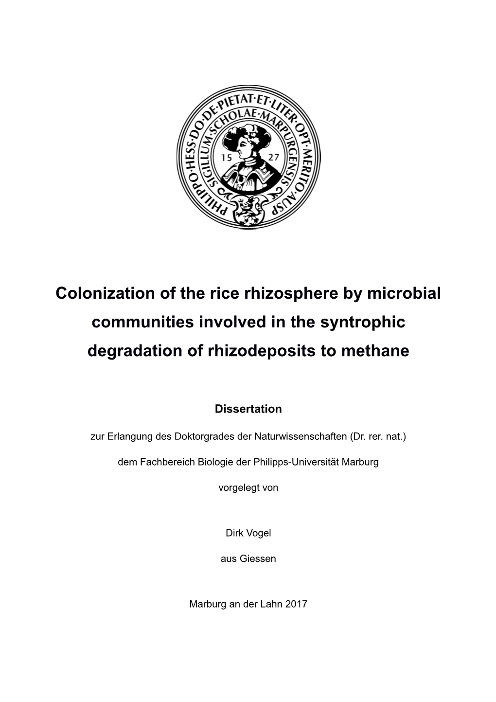 Colonization of the Rice Rhizosphere by Microbial Communities Involved in the Syntrophic Degradation of Rhizodeposits to Methane