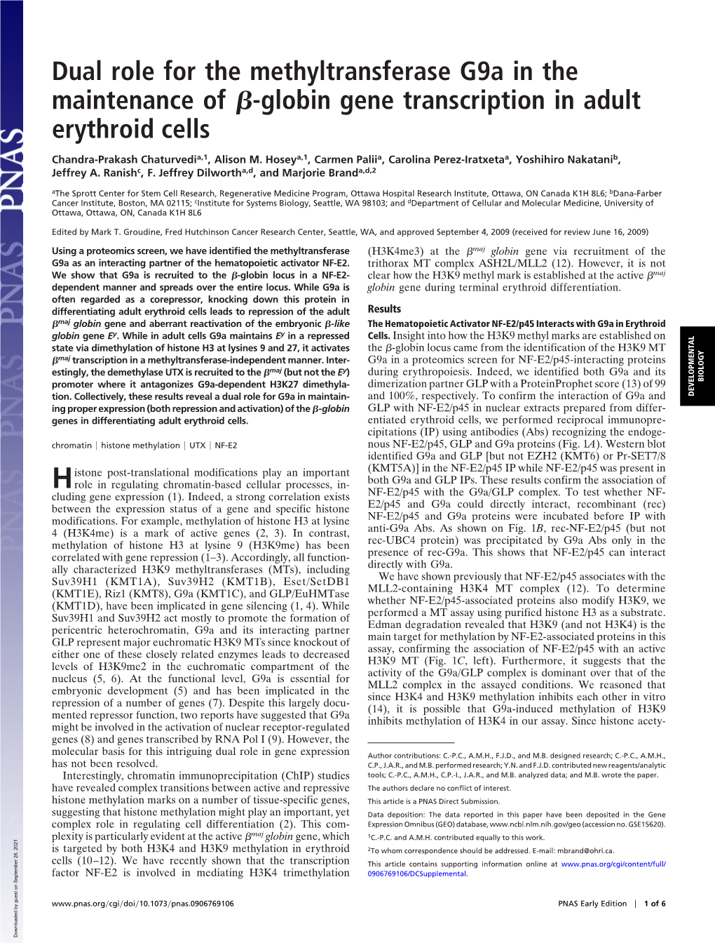 Dual Role for the Methyltransferase G9a in the Maintenance of Я-Globin