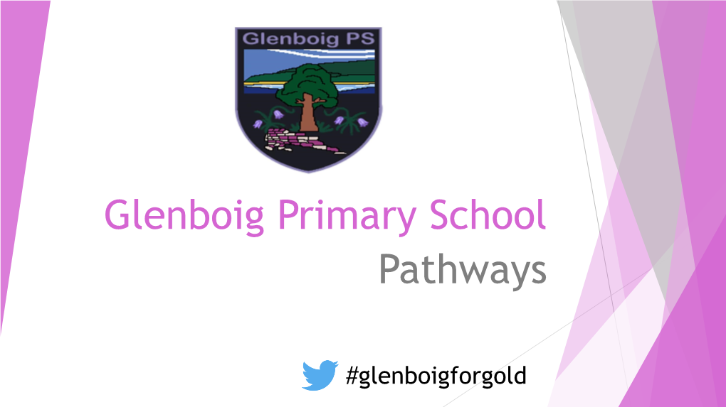 Glenboig Primary School Pathways