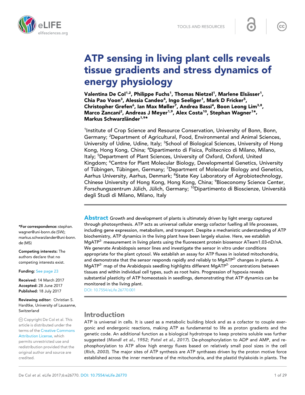 ATP Sensing in Living Plant Cells Reveals Tissue Gradients and Stress