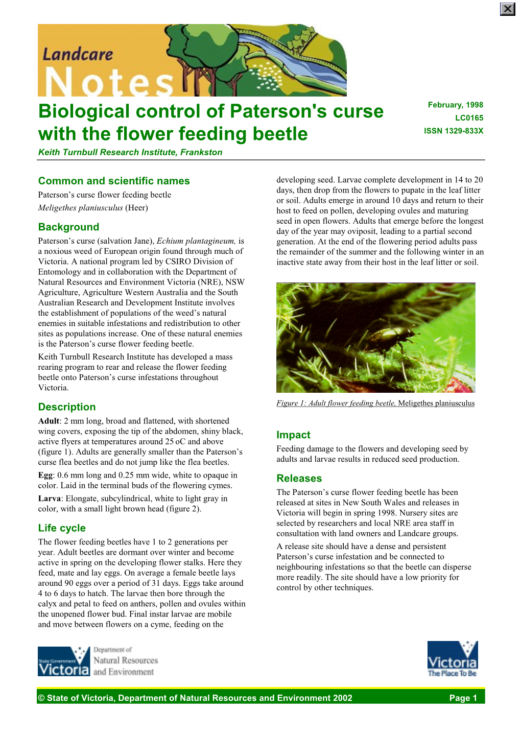 Biological Control of Paterson's Curse with the Flower Feeding Beetle (DSE