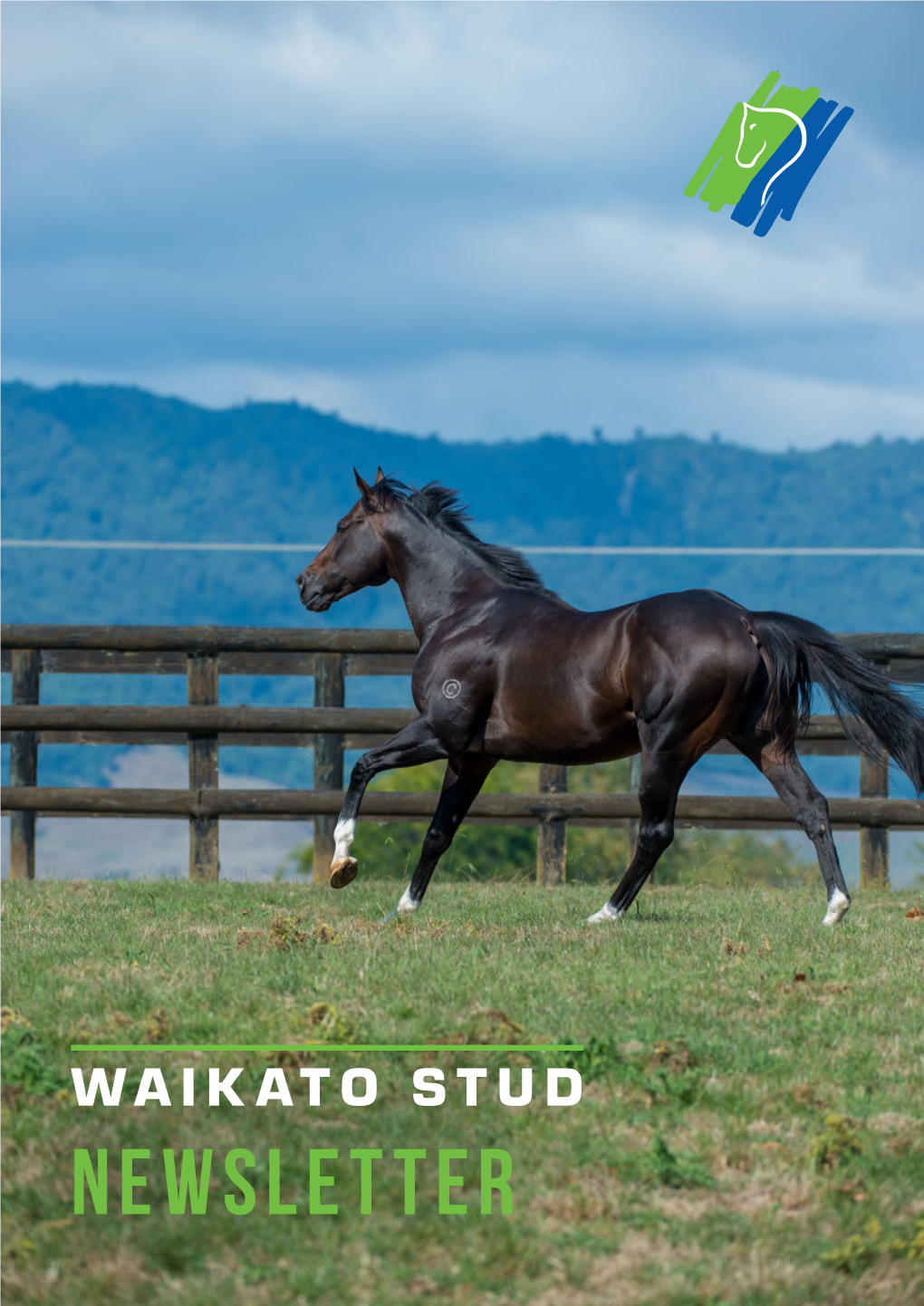 The Waikato Newsletter