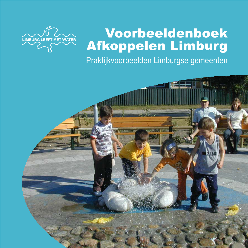 Voorbeeldenboek Afkoppelen Limburg