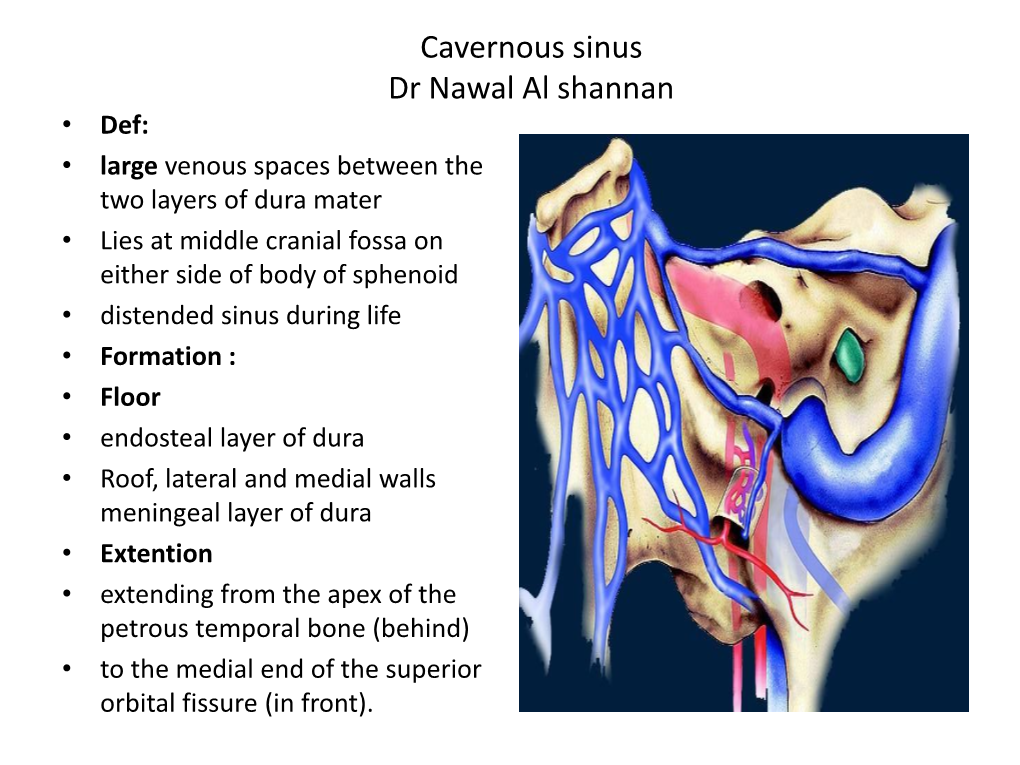 Cavernous Sinus 2019
