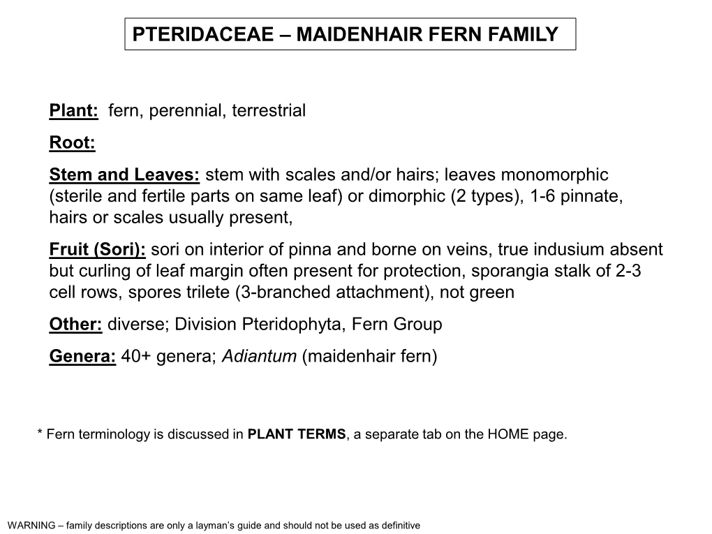 Pteridaceae – Maidenhair Fern Family